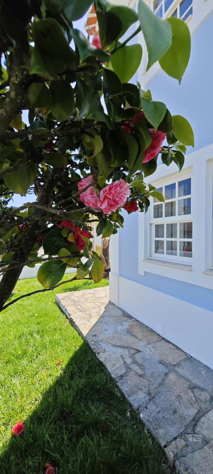 Villa Ericeira -oceonview With Pool And Whirlpool Mafra